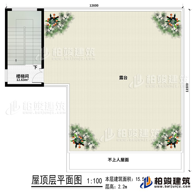 房頂：樓梯間、露臺(tái)