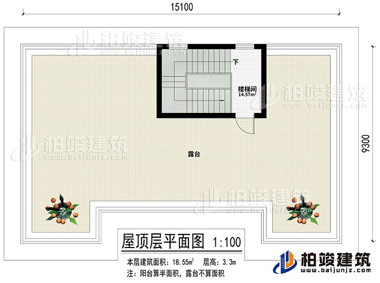 屋頂：樓梯間、露臺